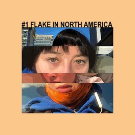 Album cover of #1 Flake in North America
