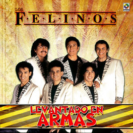 Los Felinos: música, letras, canciones, discos | Escuchar en Deezer