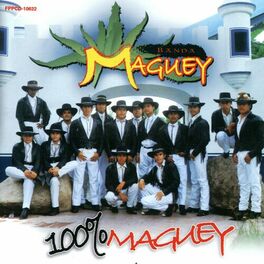 Album cover of 100% Maguey