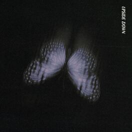 Album cover of Upside Down