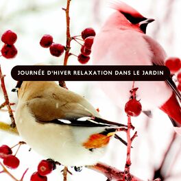 Album cover of Journée d'hiver relaxation dans le jardin (Méditation, Soulagement, Sensation du soleil, Un moment pour soi)