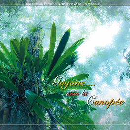 Album cover of Naturophonia: Guyane... sous la canopée