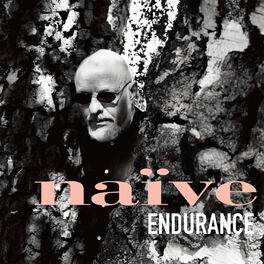Album cover of Endurance