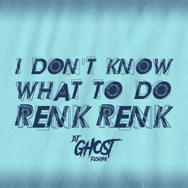 Album cover of I Don't Know What To Do Renk Renk (Rave Funk)