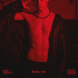 Album cover of Hotel Sex