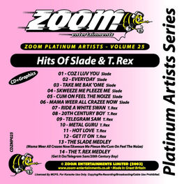 Album cover of Zoom Platinum Artists - Volume 25