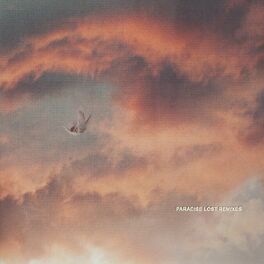 Album cover of Paradise Lost Remixes