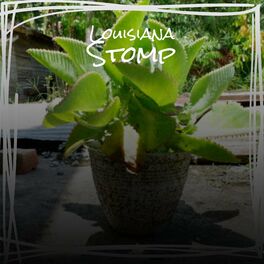 Album cover of Louisiana Stomp