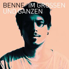Album cover of Im Großen und Ganzen