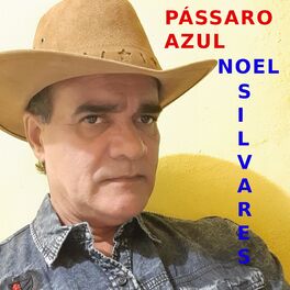 Album cover of Pássaro Azul