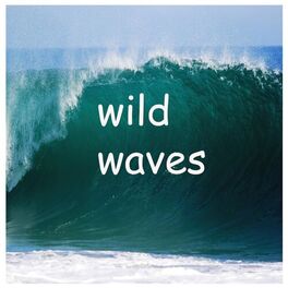 Album cover of Wild Waves