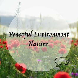 Album cover of Peaceful Environment Nature Ses. 2