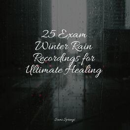 Album cover of 25 Exam Winter Rain Recordings for Ultimate Healing