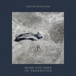 Album cover of Music for Times of Transition