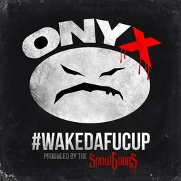 Album cover of Wakedafucup