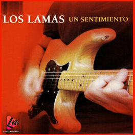 Album cover of Un Sentimiento