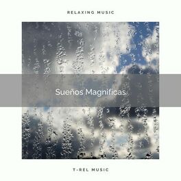 Album cover of 1 Sueños Magnificas