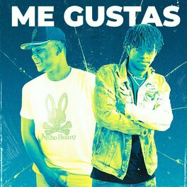 Album cover of Me Gustas (Audio Animado)