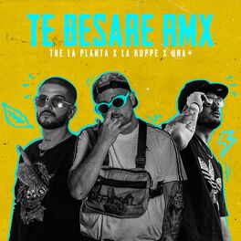Album cover of Te Besaré (Remix)