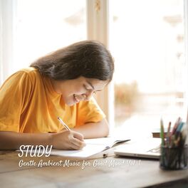 Album cover of STUDY: Gentle Ambient Music for Good Mood Vol. 1