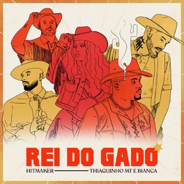 Album cover of Rei Do Gado