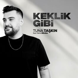 Album cover of Keklik Gibi