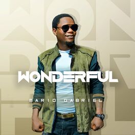 Album cover of Wonderful