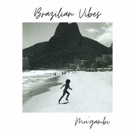 Album cover of Brazilian Vibes