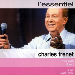 Album cover of L'essentiel