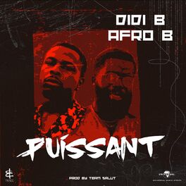 Album cover of Puissant