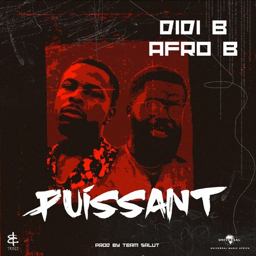 Didi B - Puissant: Listen With Lyrics | Deezer