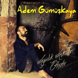 Album cover of Ayrılık Aşktan Ötedir