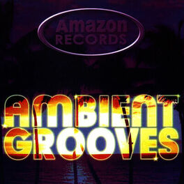 Album cover of Ambient Grooves