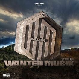 Album cover of Wanted muzik, Vol.4