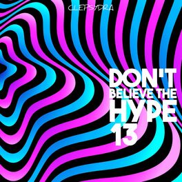 Album cover of Don't Believe the Hype 13