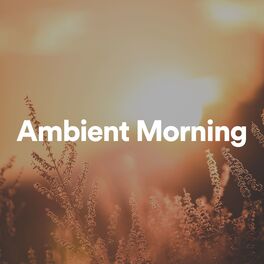 Album cover of Ambient Morning
