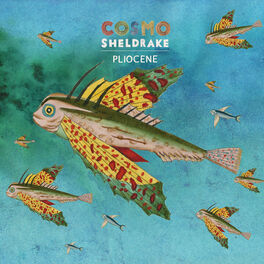Album cover of Pliocene