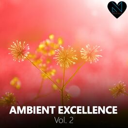 Album cover of Ambient Excellence, Vol. 2