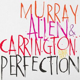 Album cover of Perfection