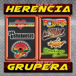 Album cover of Herencia Grupera