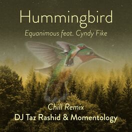 Album cover of Hummingbird Chill Mix (feat. Cyndy Fike)
