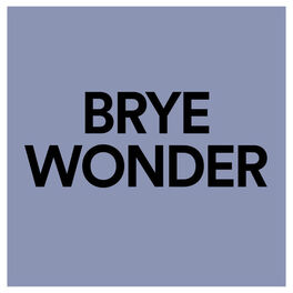 Album cover of Wonder