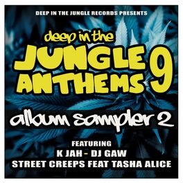 Album cover of Deep In The Jungle Anthems 9 - LP Sampler 2
