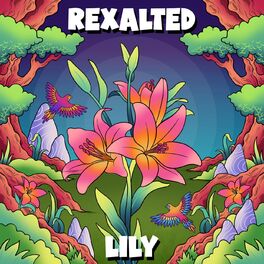 Album cover of Lily