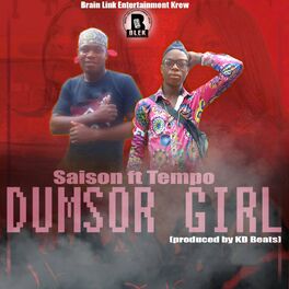 Album cover of Dumsor Girl