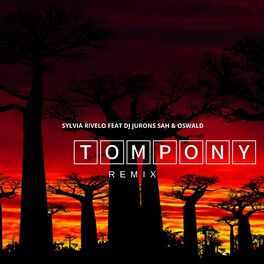 Album cover of Tompony (Remix)