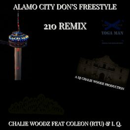 Album cover of ALAMO CITY DON'S FREESTYLE (feat. LEEZY & IQ)