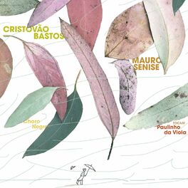 Album cover of Choro Negro - Cristovão Bastos e Mauro Senise Tocam Paulinho da Viola