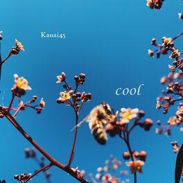 Album cover of Cool