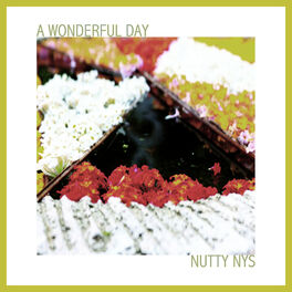 Album cover of A Wonderful Day